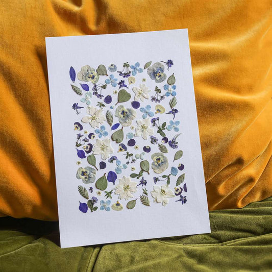 Herbier idylle provençale A4 bleu et vert, vue principale - Flowrette