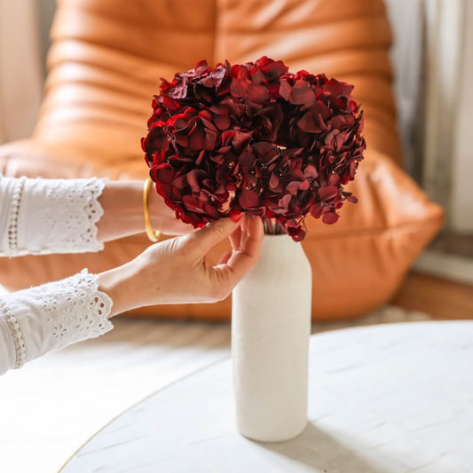 Hortensia Bordeaux