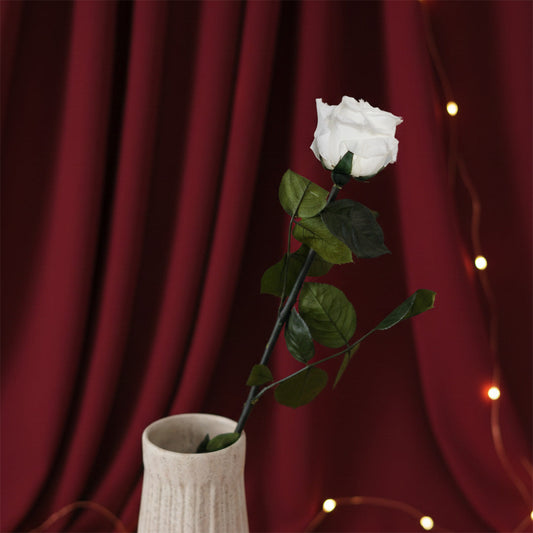 Rose blanche stabilisée, vue de face pétales naturels préservés - Flowrette