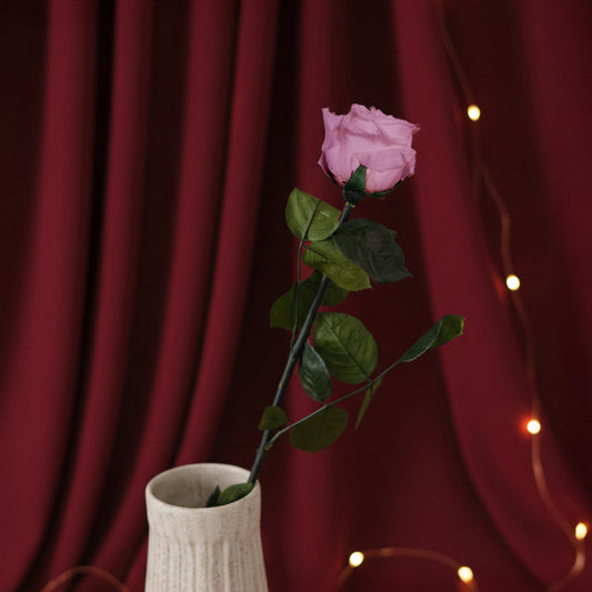 Rose rose stabilisée, vue de face pétales naturels préservés - Flowrette