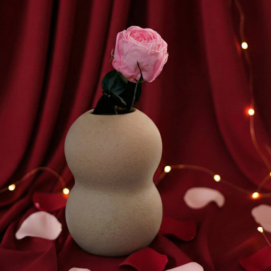 Rose anglaise rose stabilisée, vue de face pétales préservés délicats - Flowrette