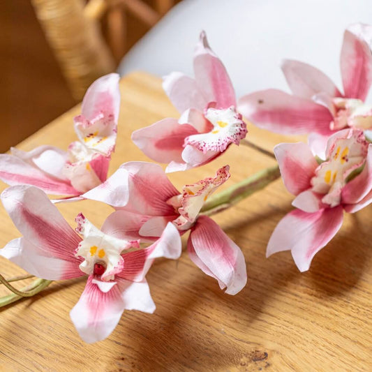 Pink paper orchids