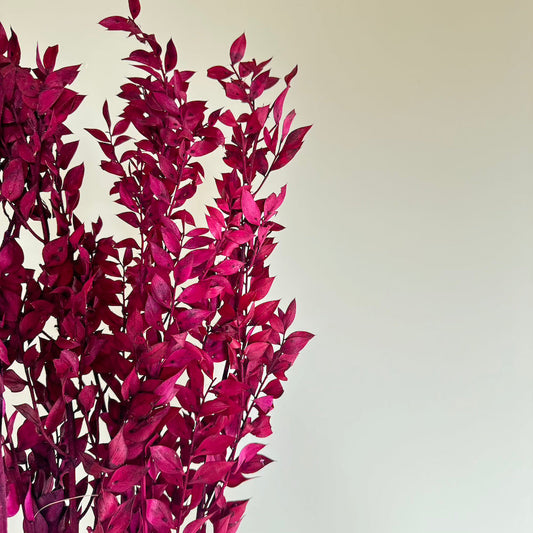 Botte de ruscus stabilisé magenta, vue de face - Flowrette