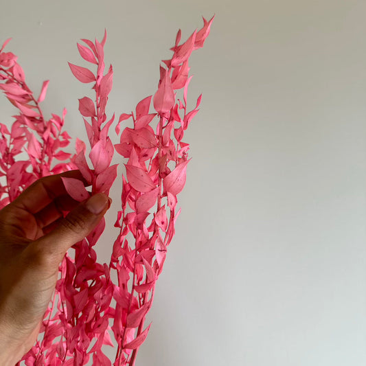 Botte de ruscus stabilisé vieux rose, vue de face - Flowrette