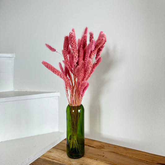 Botte fleurs séchées Sétaire Lilas