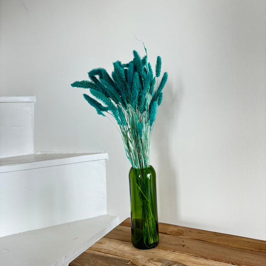 Botte de sétaire séchée turquoise, vue de face - Flowrette
